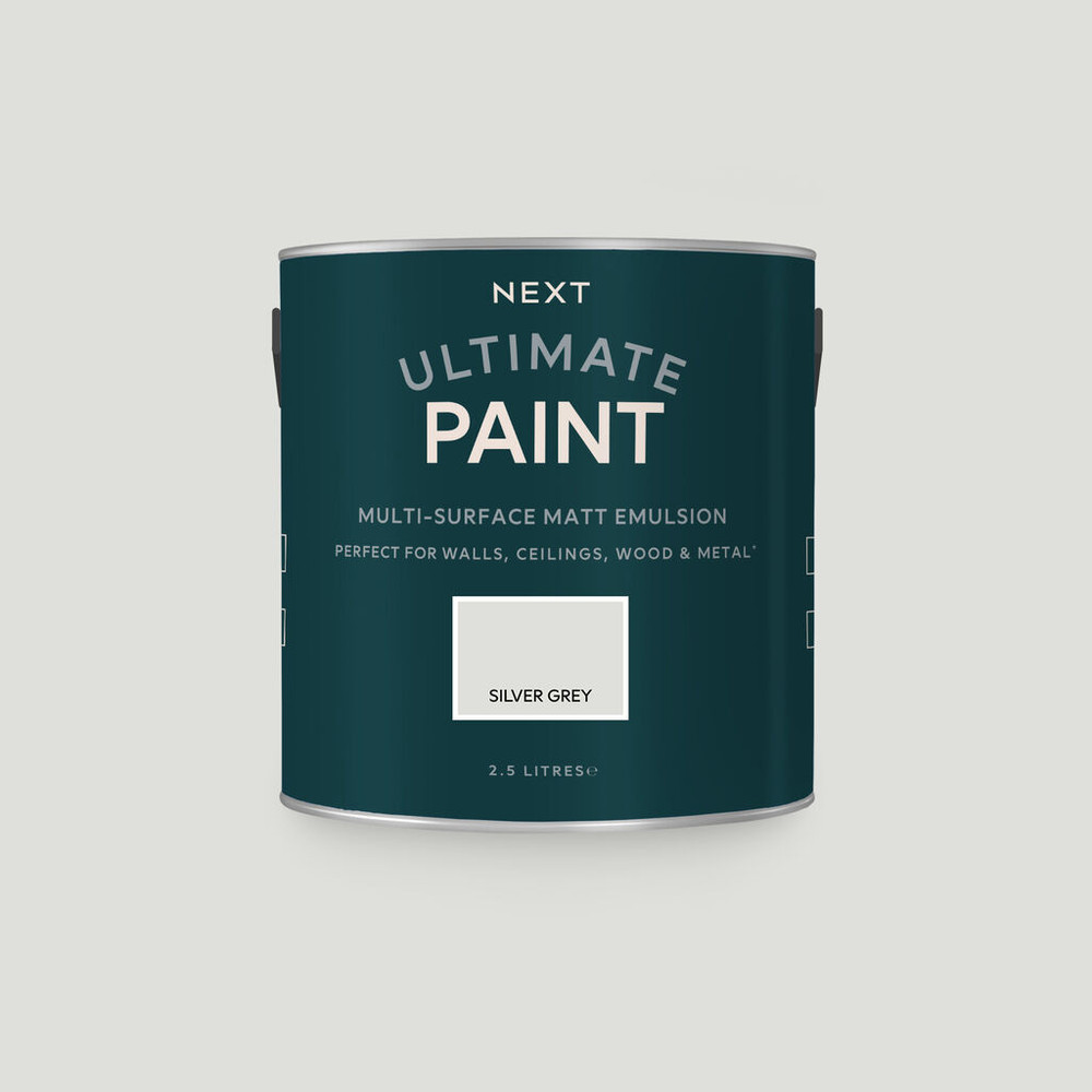 next silver grey paint