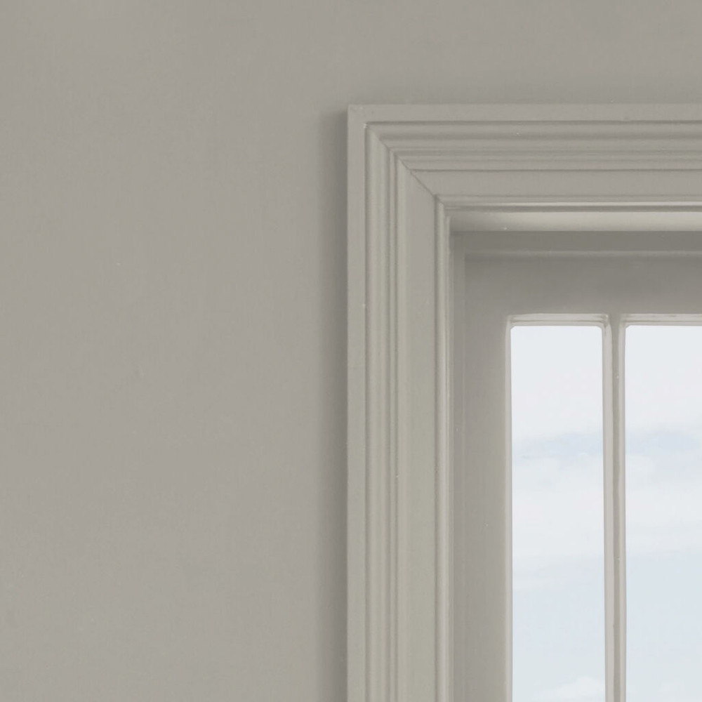 next warm greige neutral paint