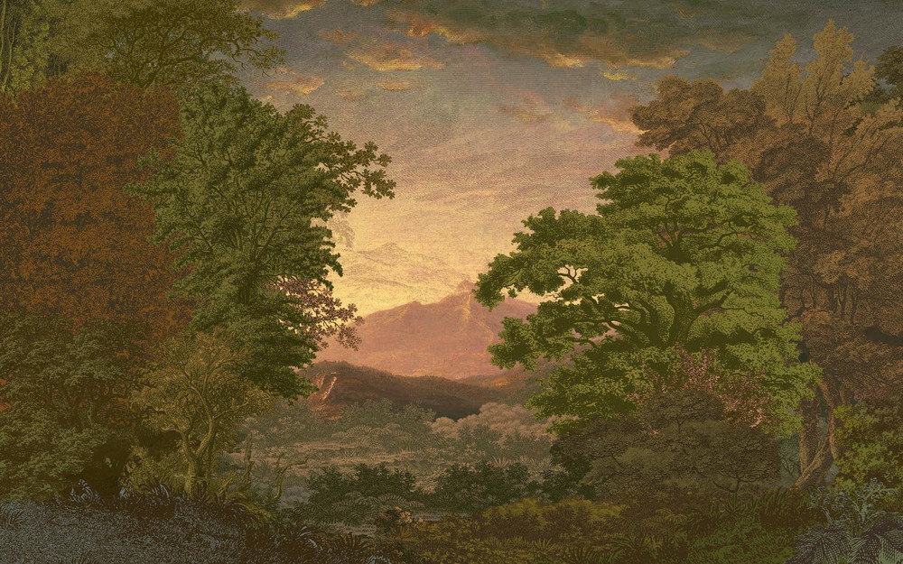 Sketch Forest Morning Bespoke Mural