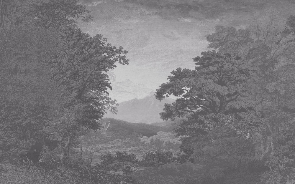 Sketch Forest Silver Bespoke Mural