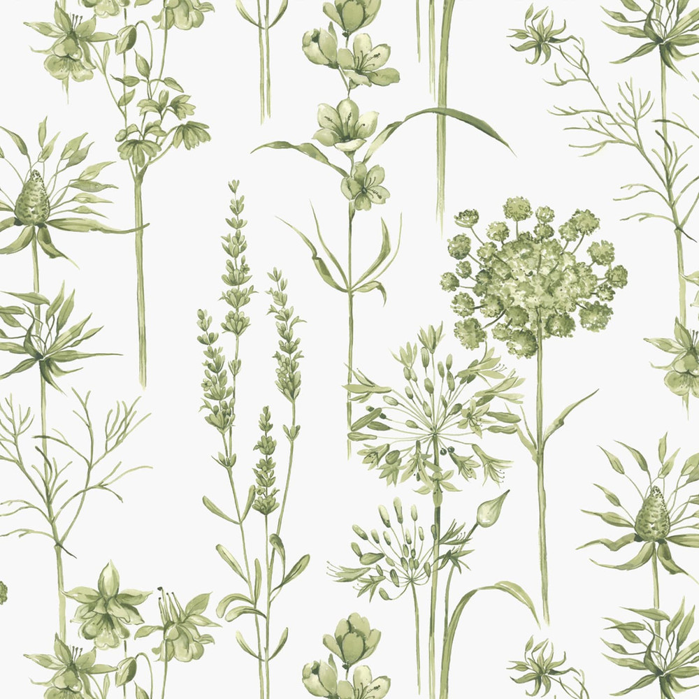Botanical Wildflowers Wallpaper