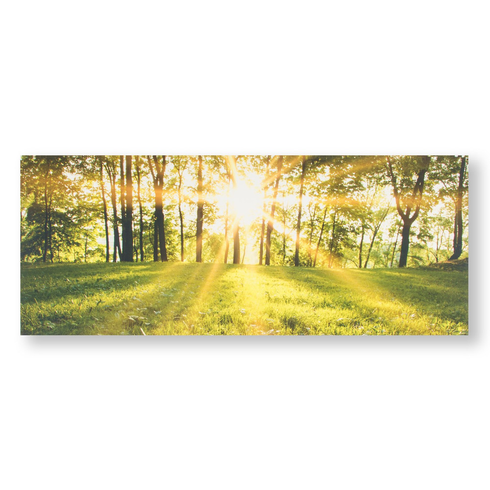 Tranquil Forest Fields Printed Canvas Wall Art - 105887_FRONT_TRANQUIL FOREST FIELDS_01.jpg