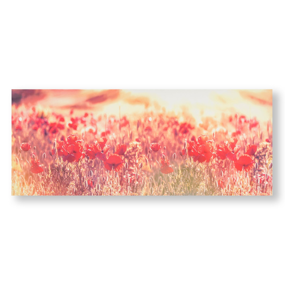 Peaceful Poppy Fields Printed Canvas Wall Art