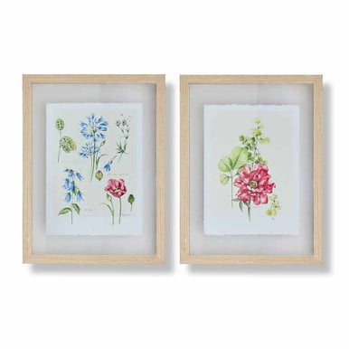 Fleur Studies Framed Prints Fleur Studies Framed Prints