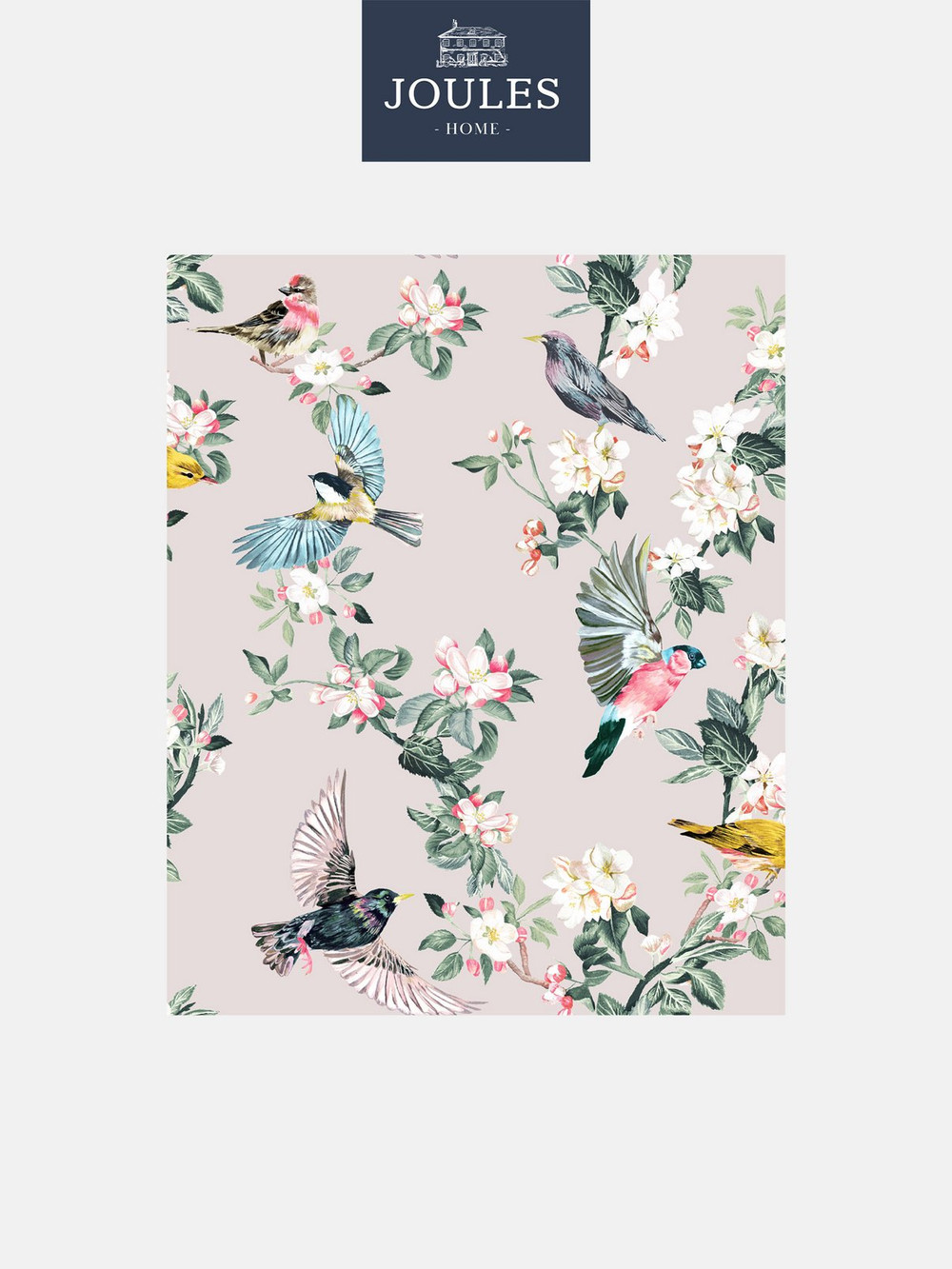 Joules Handford Garden Birds Antique Creme Wallpaper