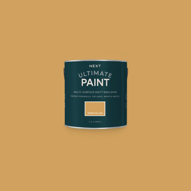 Next Warm Yellow Paint - 125054_TIN_WARM YELLOW_01.jpg