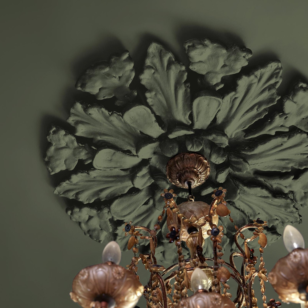 Abigail Ahern Kelp Harbour Paint