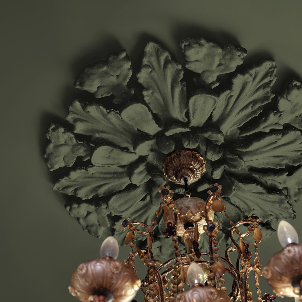 Abigail Ahern Desert Saltbush Paint