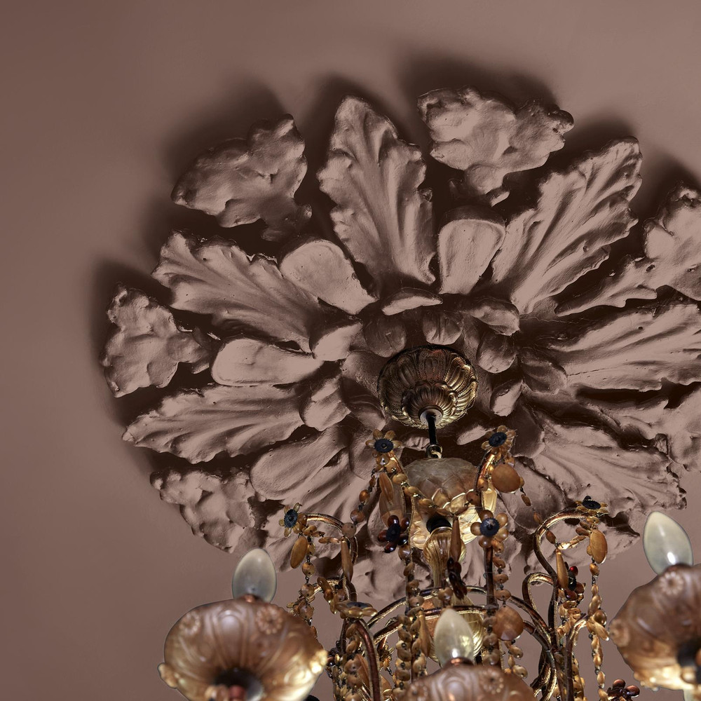 Abigail Ahern Sequoia Tree Paint