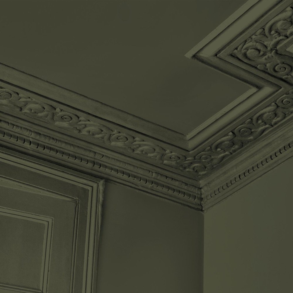 Abigail Ahern Sea Botanic Paint