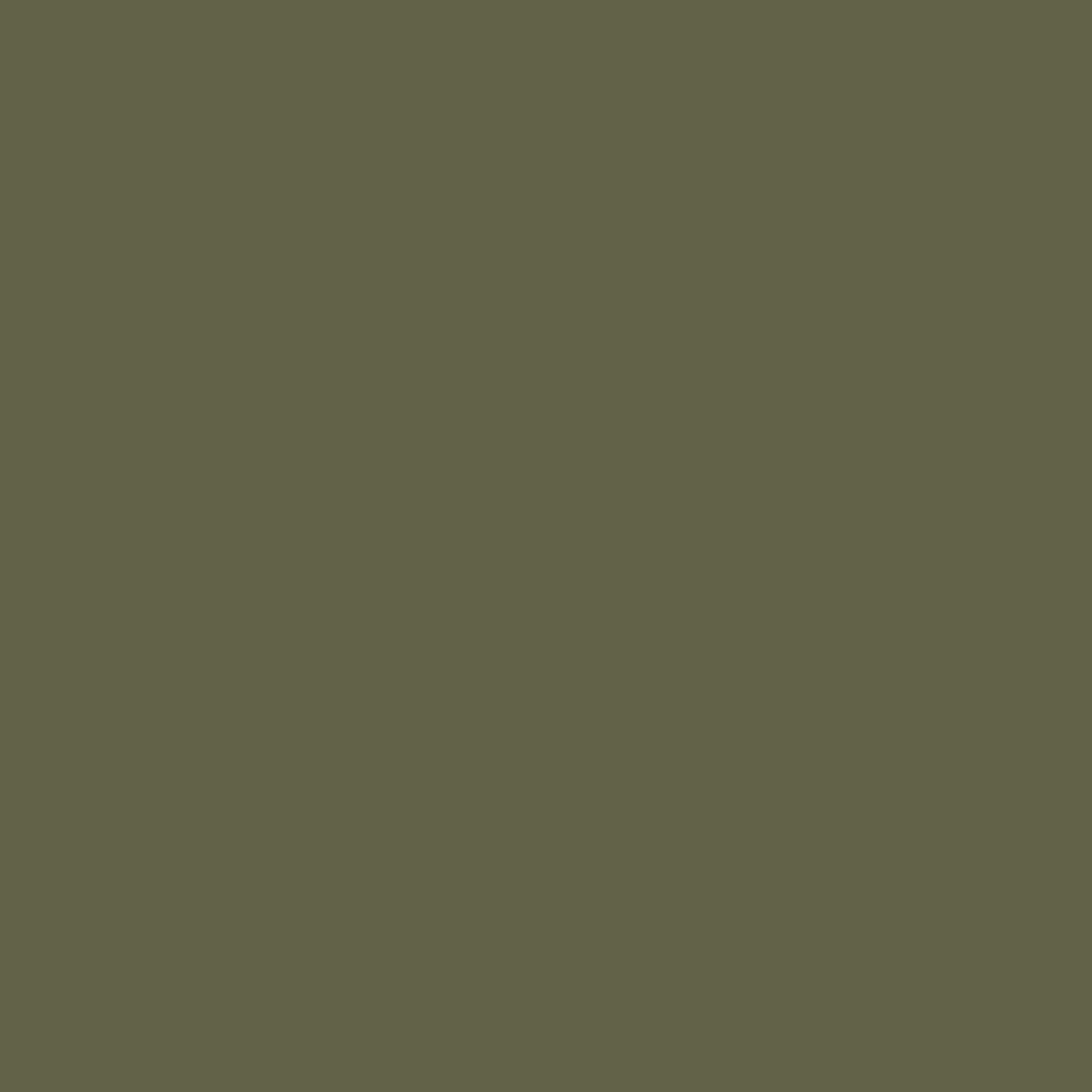 Abigail Ahern Seagrass Meadow Paint