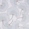Begonia Blue Wallpaper Begonia Blue Wallpaper